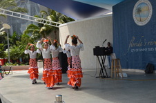 Enlarge photo 62