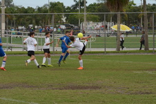 Enlarge photo 102