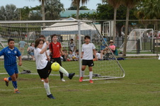 Enlarge photo 104