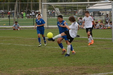 Enlarge photo 105