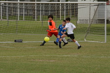 Enlarge photo 106