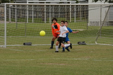 Enlarge photo 107