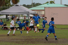 Enlarge photo 109