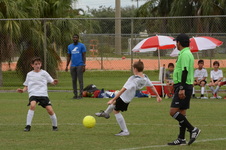 Enlarge photo 111