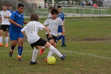 Enlarge photo 114