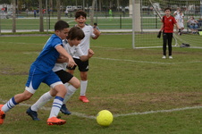 Enlarge photo 115