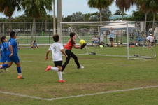 Enlarge photo 118