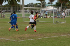 Enlarge photo 119