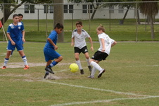 Enlarge photo 121