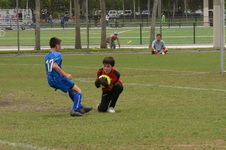 Enlarge photo 124