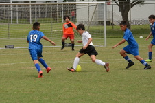 Enlarge photo 125