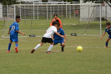 Enlarge photo 126