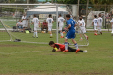 Enlarge photo 129