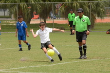 Enlarge photo 131