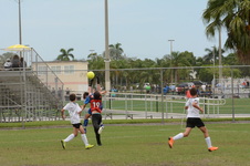 Enlarge photo 132