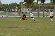 Enlarge photo 133