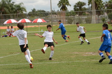 Enlarge photo 20