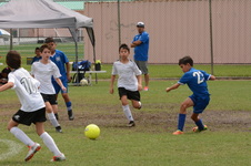 Enlarge photo 24