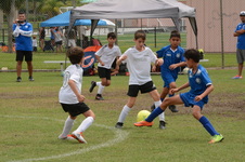 Enlarge photo 25