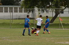 Enlarge photo 30