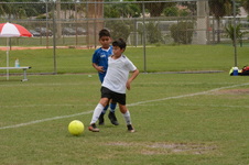 Enlarge photo 31
