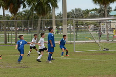 Enlarge photo 34