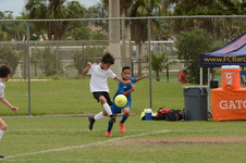 Enlarge photo 40