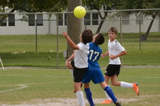 Enlarge photo 41