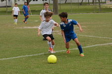 Enlarge photo 43