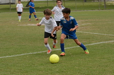 Enlarge photo 44