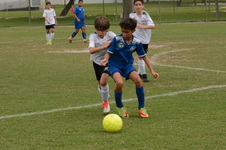 Enlarge photo 45