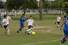 Enlarge photo 46