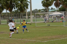 Enlarge photo 47