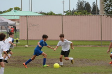 Enlarge photo 48