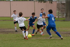 Enlarge photo 49