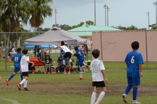 Enlarge photo 50