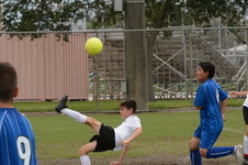 Enlarge photo 55