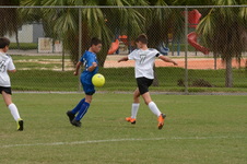 Enlarge photo 56