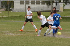 Enlarge photo 58