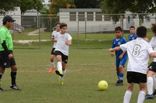 Enlarge photo 59
