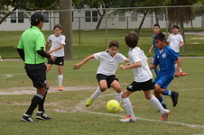 Enlarge photo 60