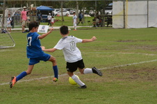 Enlarge photo 61