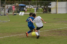 Enlarge photo 62