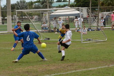 Enlarge photo 63