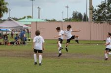 Enlarge photo 64