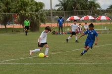 Enlarge photo 65