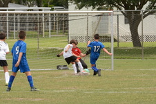 Enlarge photo 67