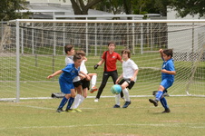 Enlarge photo 71