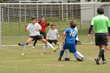 Enlarge photo 72