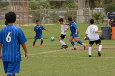 Enlarge photo 73